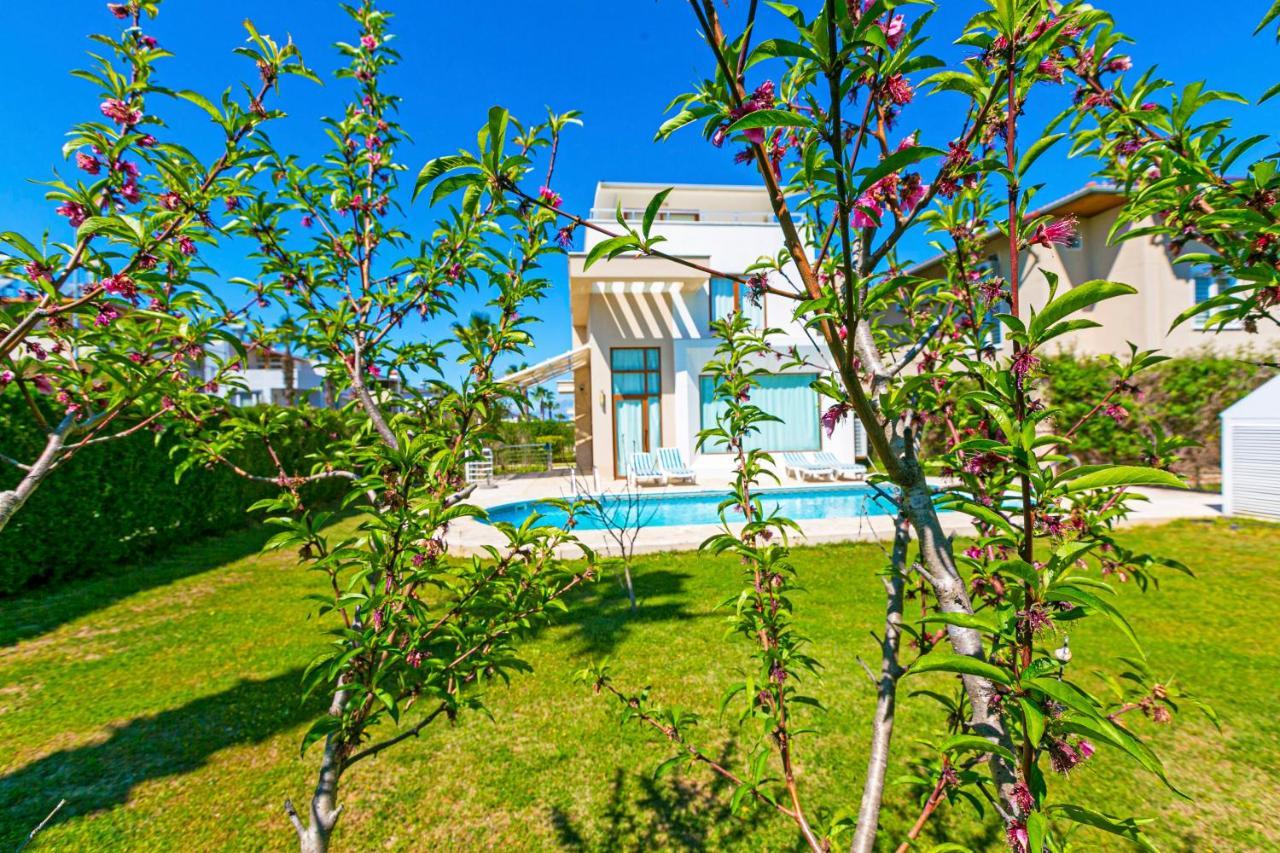 Paradise Town Villa Daisy Белек Экстерьер фото